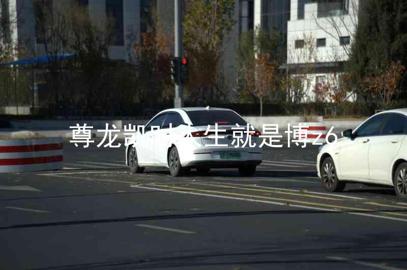 尊龙凯时人生就是博z6